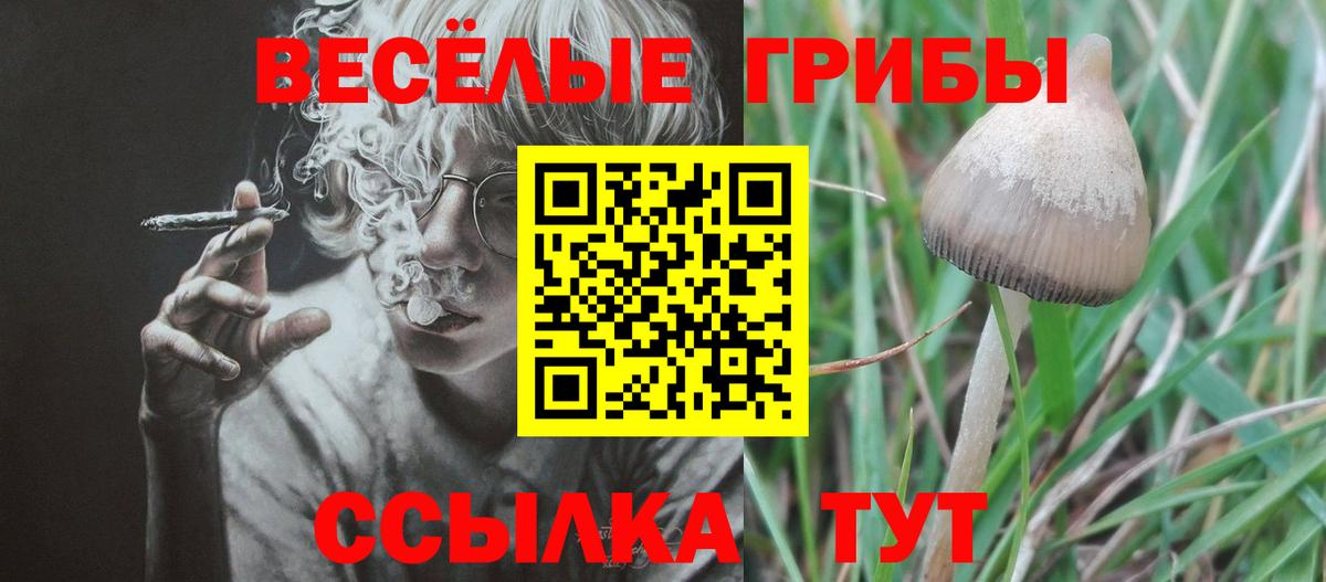 как найти закладки  Псилоцибиновые грибы Psilocybine cubensis  Вход с VPN  Ярцево 